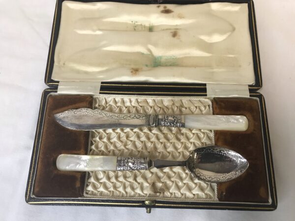 Cased Mother of Pearl Handled Spoon & Butter Knife set