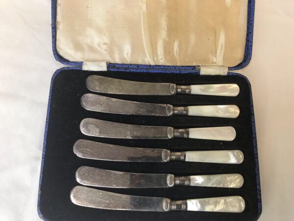 Cased Mother of Pearl Handled Butter Knives 6