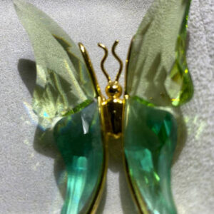 Swarovski Exotic Butterflies Acadia Light Emerald Medium